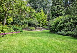 Optimiser l'expérience du jardin à Merrey-sur-Arce